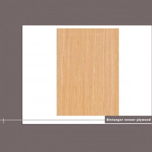 Veneer Plywood for Furniture and Decoration