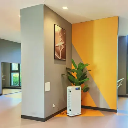 Low Noise Air Purifier Efficient sterilization, odor removal