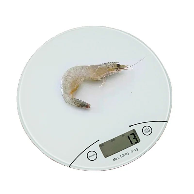 Small Household Electronic Kitchen Food Scale