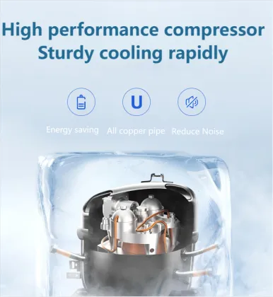 Double Temperature Ultra Low Temperature 1000 Liter Deep Freezer