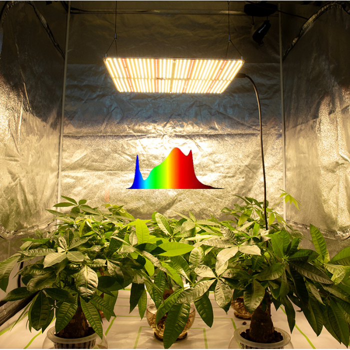 LED Grow Light con controller digitale