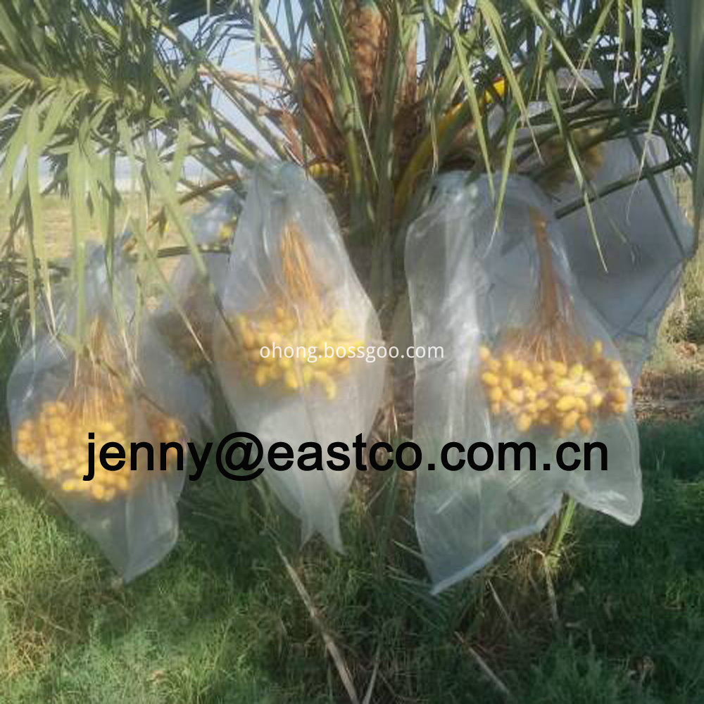 Insect Control Date Mesh Net Bag Sack