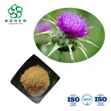 Grade alimentaire de haute qualité Silymarin Milk Thistle Extrait