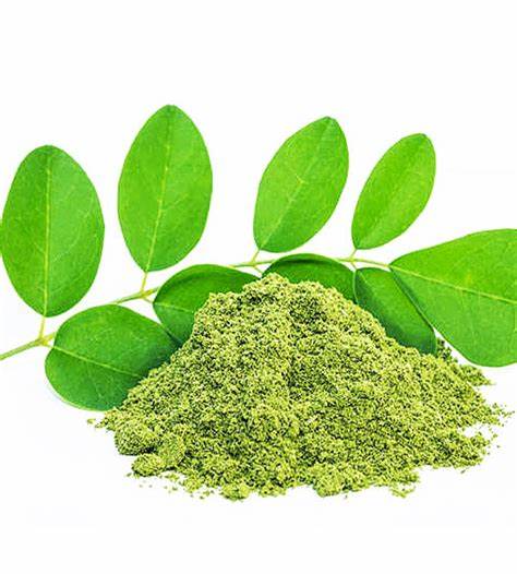 Organic Moringa Leaf Extract