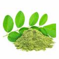 Organic Moringa Leaf Extract