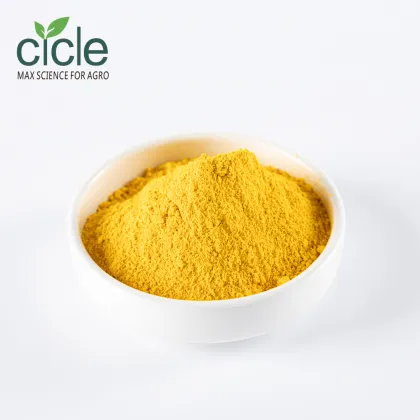 Folic Acid Vitamin B9 Folate