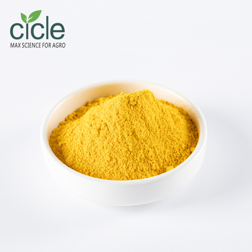 Folic Acid Vitamin B9 Folate