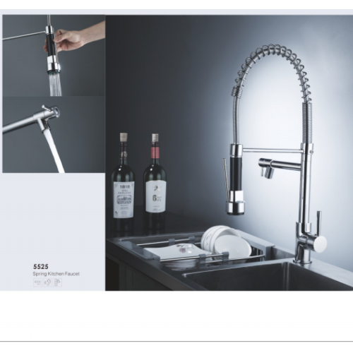 Spring Kitchen Faucet 5525