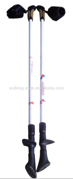 2 sections carbon fiber nordic walking pole