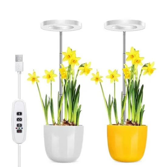 Auto On/Off Timer 10 Dimmable LED Halo Ring Grow Lights for Succulents