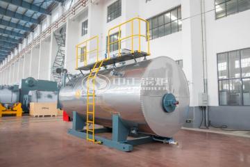 10 ton steam boiler For Animal Feed