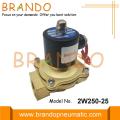 AC 220V 2W250-25 Su Solenoid Valfı