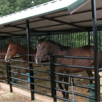 High Quality China Livestock Fence Panels for Farms
