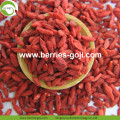 Fabriekslevering Gedroogde Ningxia Goji