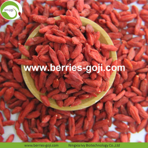 Factory Supply Dried Ningxia Goji