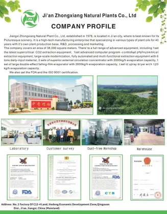 CAMELLIA HAIR OIL TSUBAKI Oil Skin Use Facial Oil