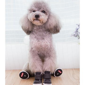 Bottes chaudes d&#39;hiver pour chien