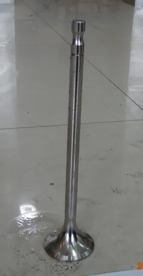 Engine parts DAIHATSU DC-17 Marine Diesel engine valve