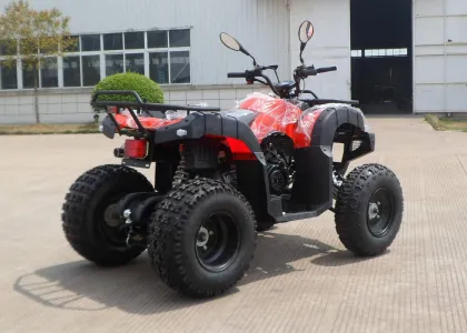 Red Eec Racing 200cc Atv On Mountain Road , One Seat Street Quad Bike