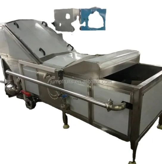 Blanching machine in fruit and vegetable equipments
