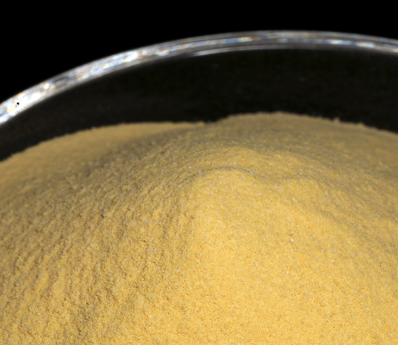 Yeast Extract Powder sauce for sale