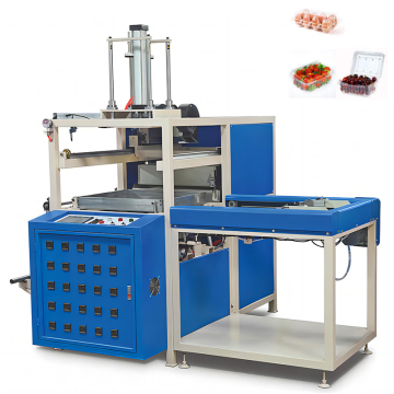 Fully Automatic Small ABS PP Thermoforming Machine for Food Containers