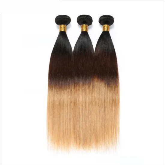 X-TRESS Factory Price Ombre Color Human Hair Bundle Weave T1B/4/27 Colors Hair Bundles With Lace Closure For Women Daily Wear