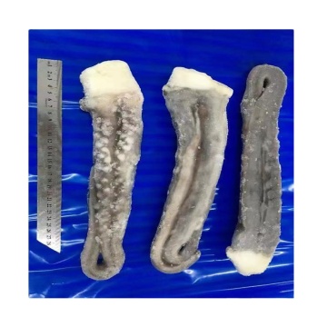 hot sale plain bag todarodes pacificus tentacles,high quality todarodes pacificus squid tentacles,iqf flying squid tentacle