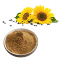 sunflower Seeds Extract Powder with better price