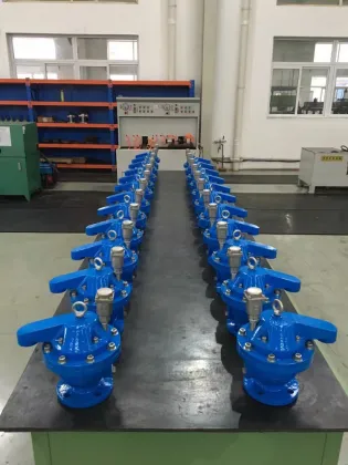 DN100 Air Release Valve - Quick Vent Valve PN16 for Water Industry OEM