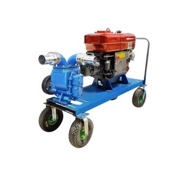 Diesel Sewage Pump and Slurry Pump Manufacturer for Septic Tanks