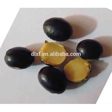 Black Soybeans(yellow kernel)