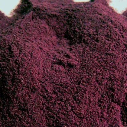 Freeze Dried Blackberry powder