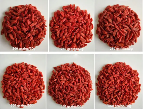 High Quality Fresh Conventional Dried Goji Berry