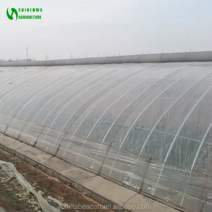 Passive Solar Greenhouse with Soil/Earth/Brick Walls for Cold Winter Agriculture in Canada