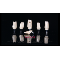 /msite/products/detail/productid/63263735/id/1520266.html