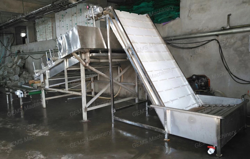 shrimp peeling machine 5