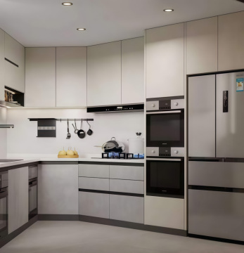 Scientific Custom Integrated Household Kitchen Cabinet