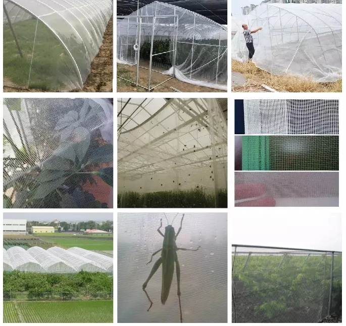 insect net application