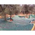 90gsm Olive Collection Net & Fruit Nets