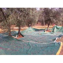 90gsm Olive Collection Net & Fruit Nets