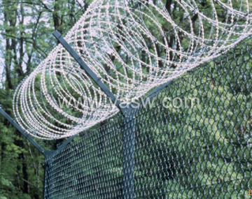 Hot Dipped Galvanized Security Barbed Razor Wire (Anjia-070)