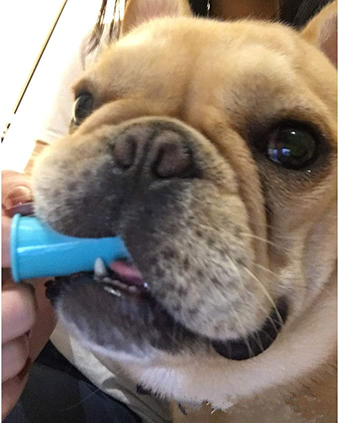 Cat Dog Finger Toothbrush
