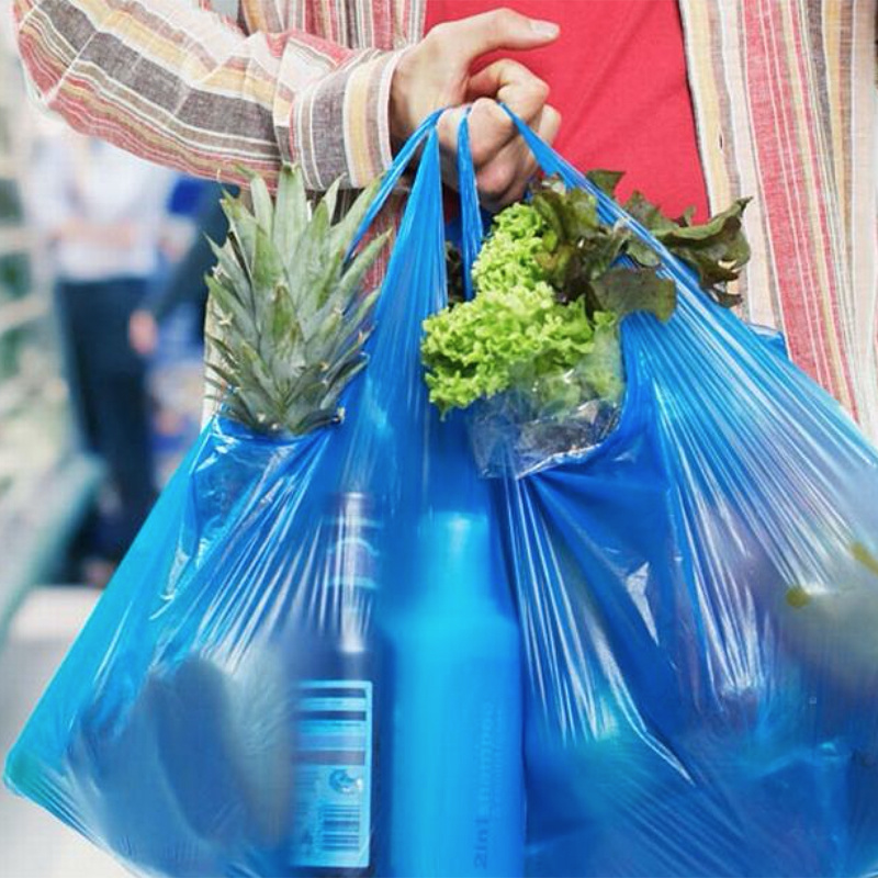 Sample Free PE Lamination Plastic Printed Poly Packing Vegetable Bag for Market