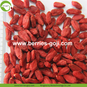 Baies de Goji à faible teneur en sucre à faible teneur en sucre