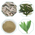 Pure Olea Europea Olive Leaf Extract