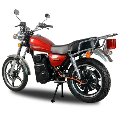 TZ hub-motor electric motorcycle