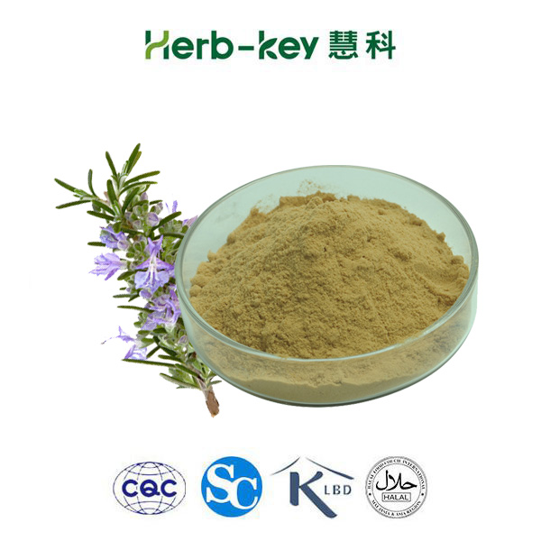 Rosemary Leaf Extract Powder