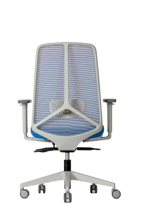 Beautiful symmetrical middle back net chair