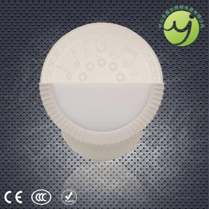 LED Acrylic wall lamp